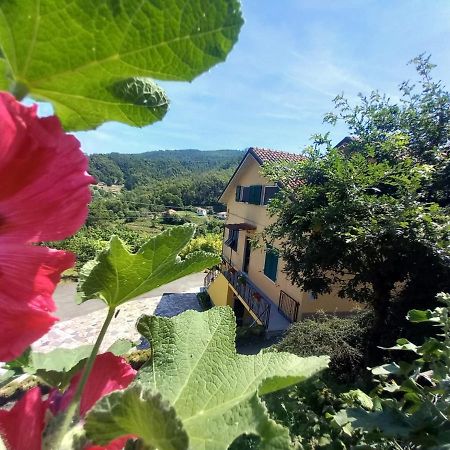 La Valle Fiorita Soviore Bagian luar foto