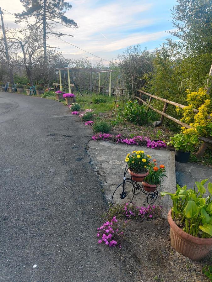 La Valle Fiorita Soviore Bagian luar foto