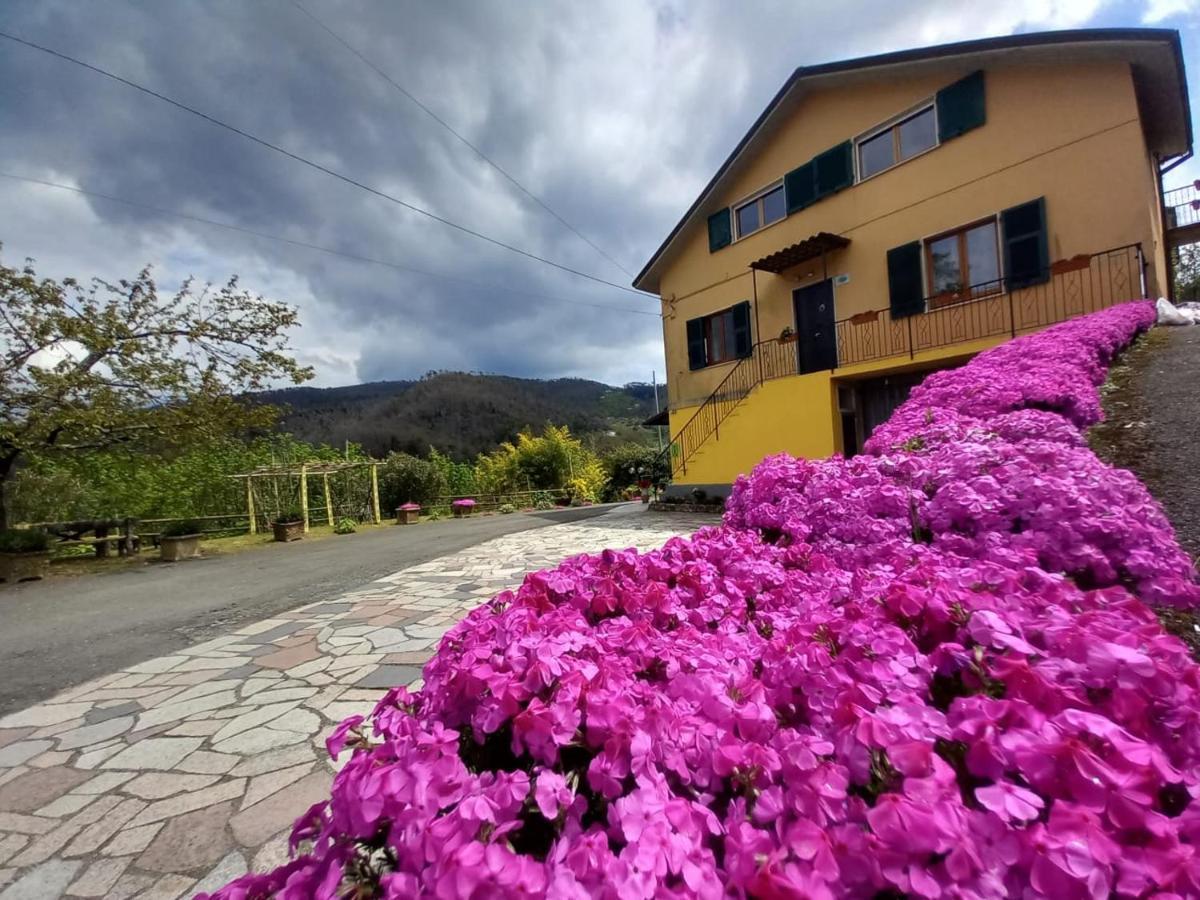 La Valle Fiorita Soviore Bagian luar foto
