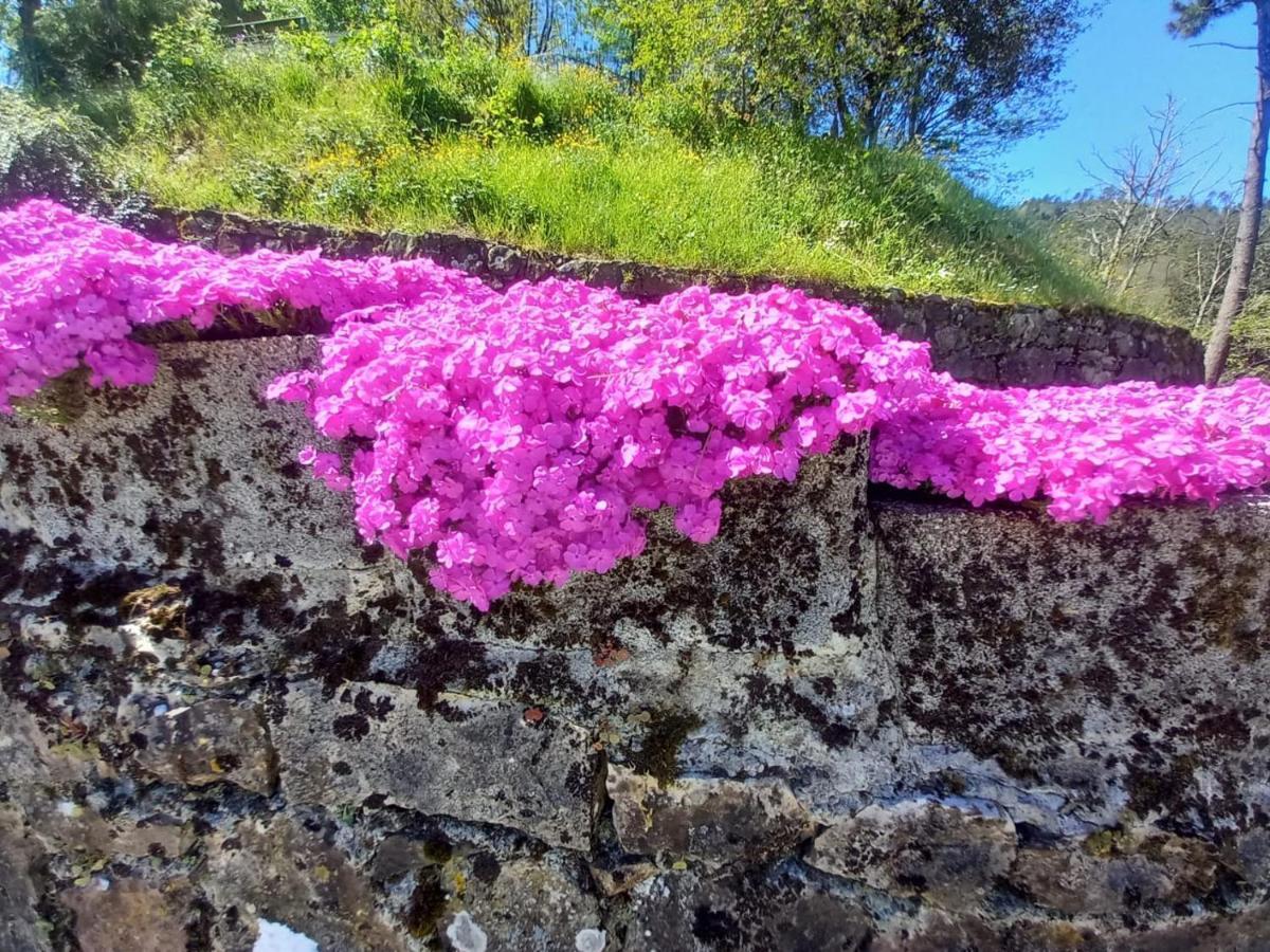 La Valle Fiorita Soviore Bagian luar foto