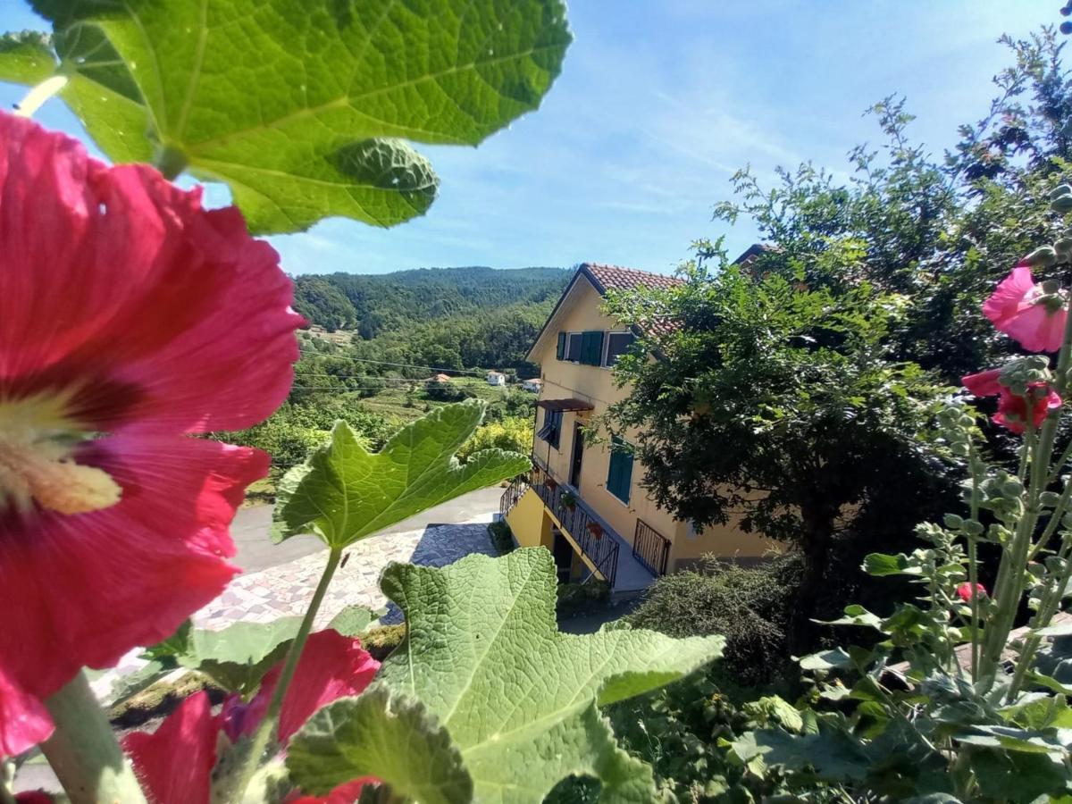 La Valle Fiorita Soviore Bagian luar foto