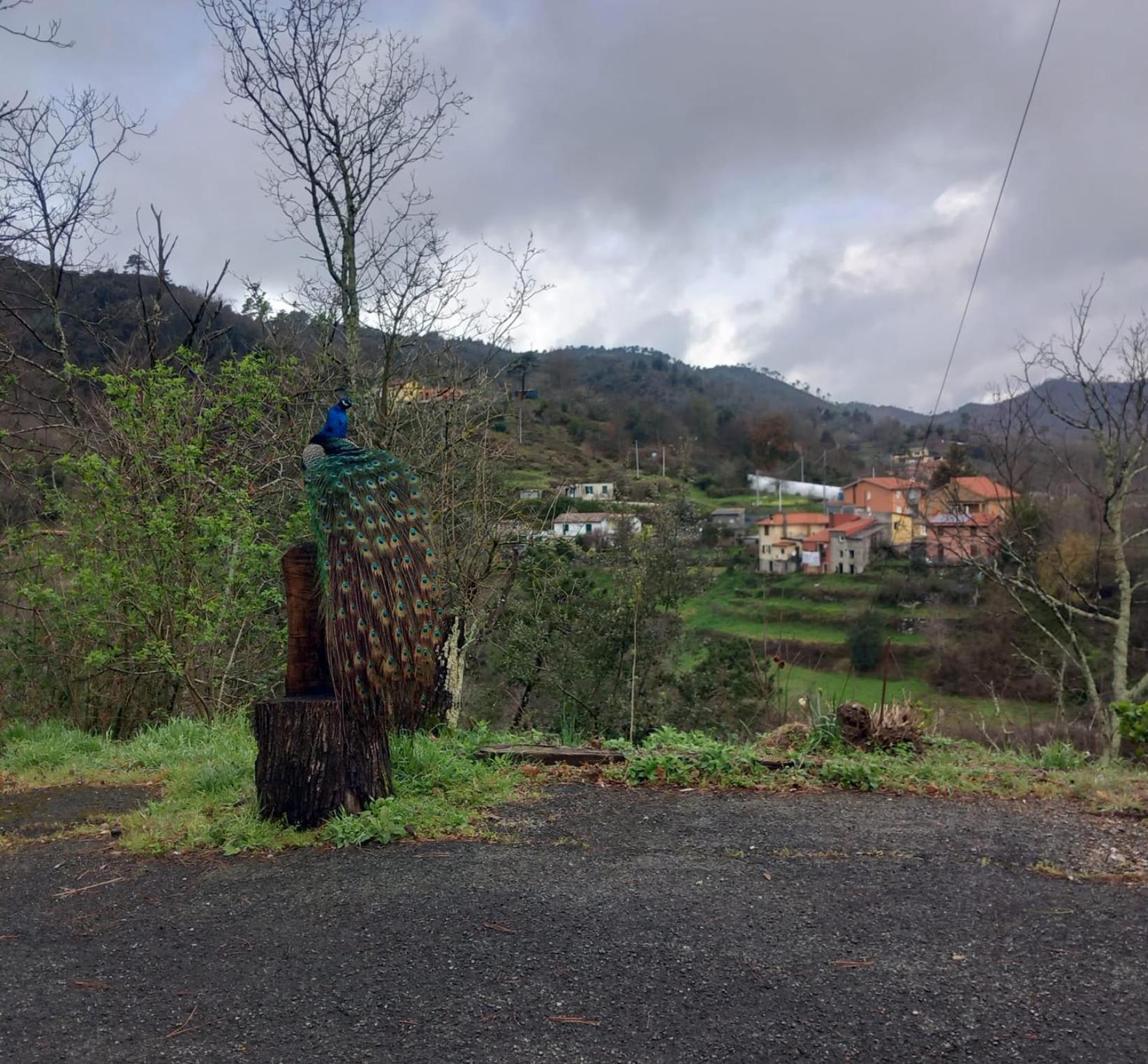 La Valle Fiorita Soviore Bagian luar foto