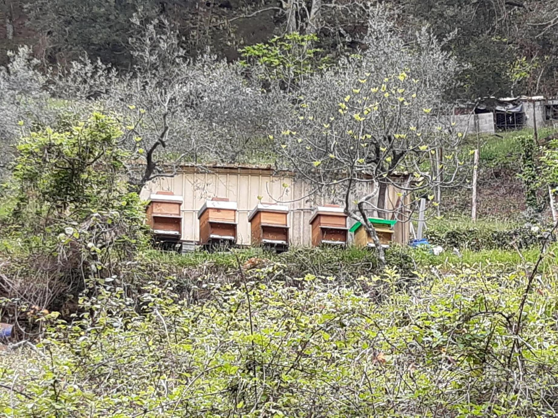 La Valle Fiorita Soviore Bagian luar foto